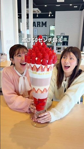[Kawagoe] Saitama's largest strawberry parfait weighing over 5kg