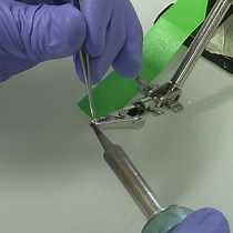 Video: Quantifying Infra-slow Dynamics of Spectral Power and Heart Rate in Sleeping Mice