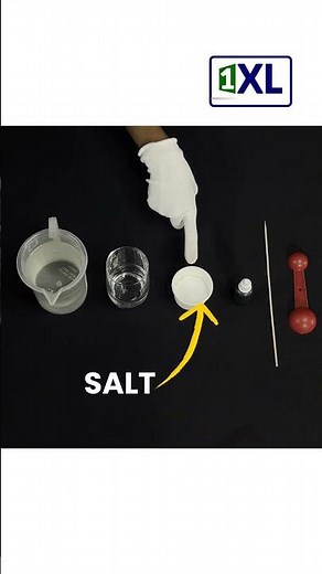 From Powder to Gem! A Mesmerizing Crystal Growing Time-Lapse. #scienceforkids #funscience