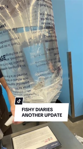 With all this bad fish luck ☠️ All I can think of is Darla… is her name Darla?… off Nemo, “WAKE UP FISHY!!!”