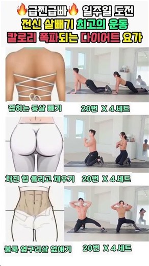 쉽고 빠른 전신 살빼기 운동으로 시작 #오운완 #복근 #뱃살운동 #급찐급빠