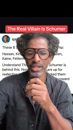 Schumer is not the leader we need now. | Toure