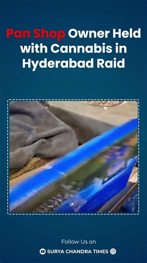 Pan Shop Owner Held with Cannabis in Hyderabad Raid |#police |#telangana |#news ‪@suryachandratimes‬