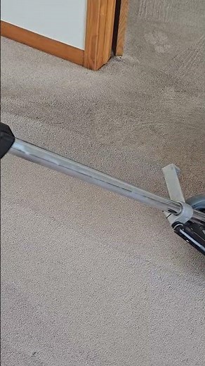 SETT / VLM Carpet Cleaning Gets It Done!