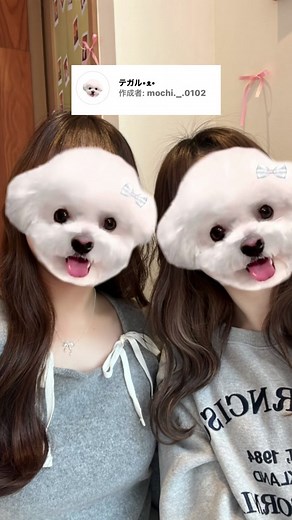 インスタ顔隠しエフェクト集 2人用特集🐈‍⬛