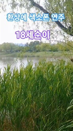 18세 순이! 감동을 주는 색소폰 연주. K정통트롯. 힐링음악. AI음악. 구독과 좋아요. 옛날에 듣던 아련한 정통 트롯 힐링 음악.