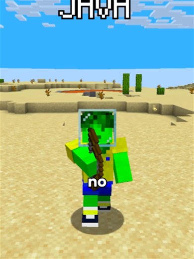 Minecraft Java vs Bedrock pt.3 #minecraft #java #bedrock #fyp | minecraft