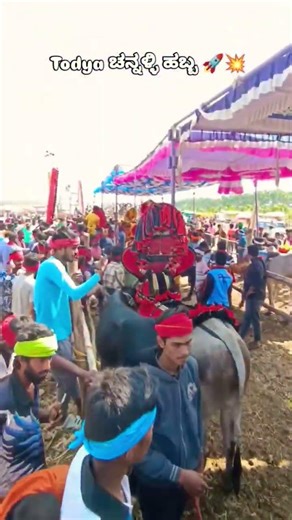 Talagunda Hori Festival Live