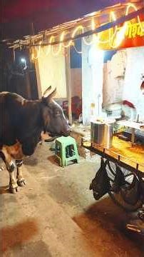 "🙏✨छोटी सी सेवा बड़ा पुण्य 🥰||एक अलग ही प्रकार की पूजा || #helping #viral #video#trending#shorts"