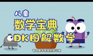 DK图解数学 001-数字符号