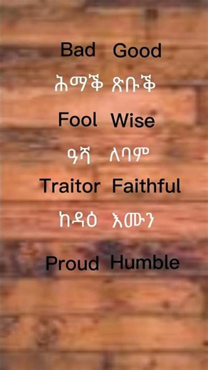 Basic Tigrigna Words for Beginners|#tigrigna