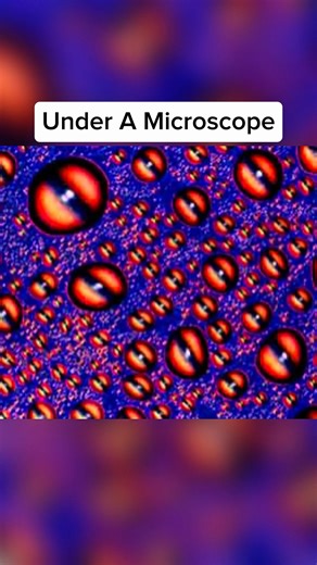 This Is What Alcohol Looks Like Under A Microscope 🤯