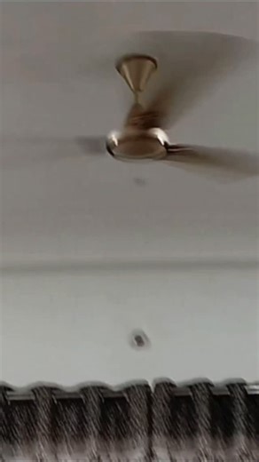 MAA BHAWANI ELECTRONIC 💜 on Instagram: "Fan Regulator Ka Simple Connection 🔌 #fanwiring #fanregulator #ceilingfan #electricalreel #electricianlife Agar aap bhi apne ghar ke ceiling fan me regulator laga kar speed kam-zyada karna chahte ho, to ye reel aapke liye hai ⚡ Is reel me fan regulator, switch aur indicator ki simple wiring dikhai gayi hai. ⚠️ Safety Tip: Wiring se pehle main supply OFF rakhein. 👉 Reel pasand aaye to ❤️ LIKE | 🔁 SHARE | 👤 FOLLOW zaroor karein"