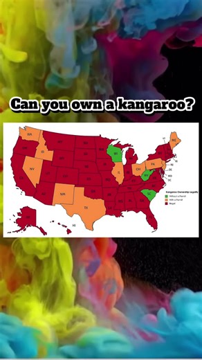 Exploring the Unique Kangaroo Sightings in the USA