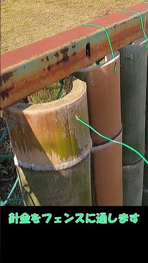 【DIY・竹】「フェンスに竹を！」素人の挑戦