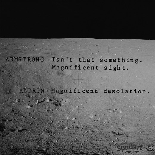 What did Buzz Aldrin say when he first stepped on the moon? - Spudart