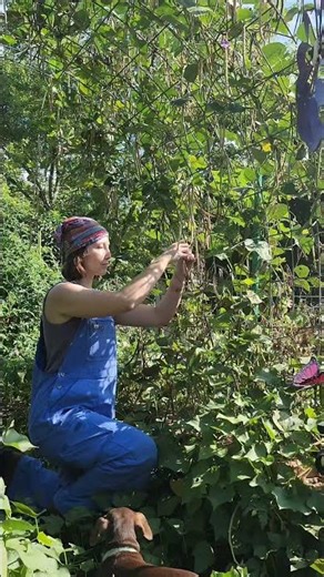 Homesteading problems? Not enough time in the day! 🌱🐓