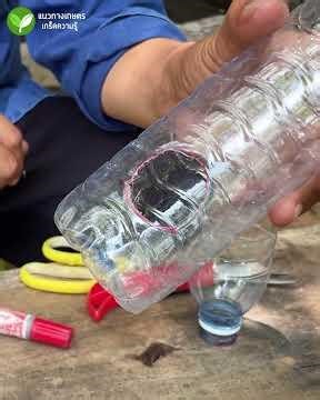 How to make a fly trap from a plastic bottle. Easy to make and really works! #flytrap #flies #Anit