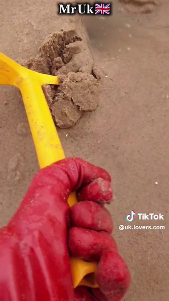 Unexpected Discoveries on the Beach Experience