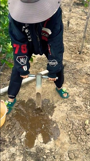 Guava Boundry Making | Smart Farming Method#GuavaFarming#SmartAgriculture#FarmTech