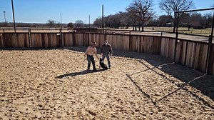 1.7K views · 67 reactions | Did you know we have an Online Course where you can learn to train your stock dog! In this new video you will get to see six puppies sired by Joker as they get started in the round pen. Maycon explains the kind of traits and behavior he likes and how to identify the type of dogs they are going to be. Visit our website to join the online course at: www.mourastockdogs.com/onlinecourse | Moura Stock Dogs | Facebook