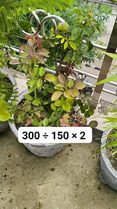 Solve it Math Test Solution | M Mathematics