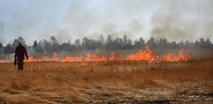 Planned burns can reduce wildfire risks, but expanding  use of ‘good fire’ isn’t easy