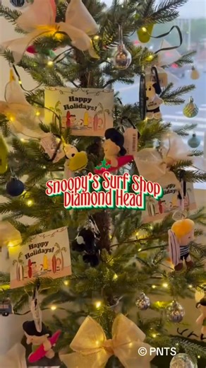 SNOOPY’S SURF SHOP on Instagram: "Happy Holidays from our Diamond Head store! 🎄🌴 Enjoy a Hawaiian Christmas filled with tropical breezes and lots of aloha ✨ Happy Holidays from our Diamond Head store! 🎄🌴 南国の風とアロハいっぱいの、 ハワイのクリスマスをお楽しみください✨ Diamond Head Store Address: 3302 Campbell Ave., Honolulu, HI 96815 Phone: 808-734-3011 Open: 10:00 AM – 4:00 PM #SNOOPYSSURFSHOP #SNOOPYSSURFSHOPDIAMONDHEAD #SNOOPY #PEANUTS #HAWAII"
