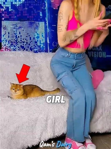 This cat is very vindictive! #shorts