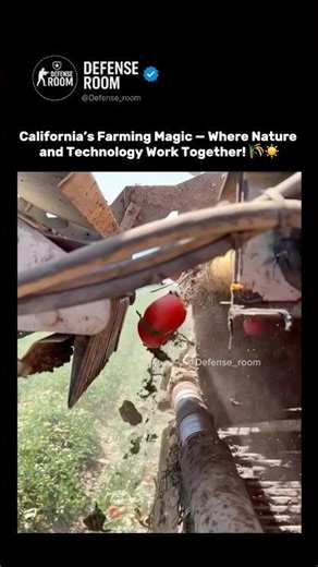 California’s Farming Magic — Where Nature and Technology Work Together! 🌾☀️