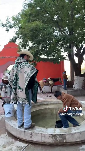 Cabalgatas en México: Tradición y Cultura Ecuestre