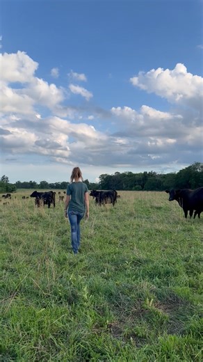 169 reactions · 3 comments | Did you know farmers are working to protect wildlife habitat, while growing crops and raising livestock? Keisha Thompson shares how her family is doing that on their Iowa cattle farm. | Iowa Farm Bureau | Facebook