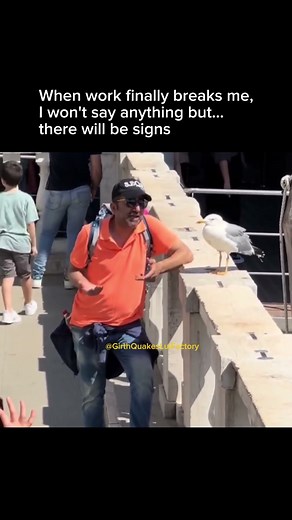 Maybe the bird has advice, you don't know!