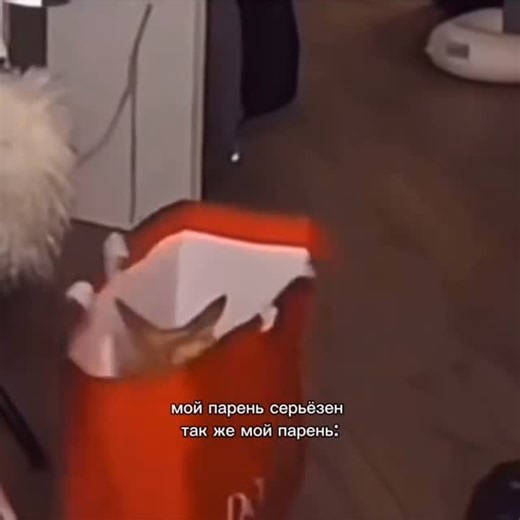 ritm on Instagram: "@_ritm_o0"