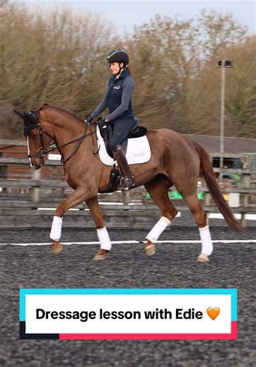 I’m so proud of my big ginger girl 🥹🌶️ the @PremierPerformance calming cookies work a treat in keeping her calm 🥹 thank you to @EG.Equiphoto for videoing for me ❤️ #equestriantiktok #horsegirl #equestrian #abcxyz #fyp