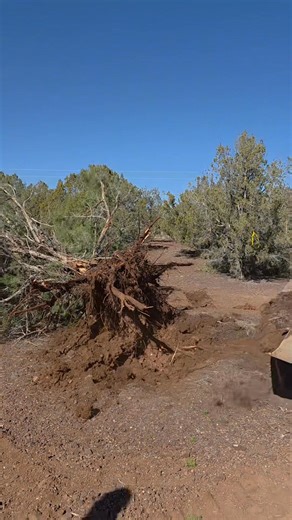 New MOVE IN READY homes coming soon!😉 Keep an eye on our socials for more updates as this project develops. We’re excited to bring you along with us 🤗 - 𝐂𝐥𝐚𝐲𝐭𝐨𝐧 𝐇𝐨𝐦𝐞𝐬 𝐨𝐟 𝐂𝐡𝐢𝐧𝐨 𝐕𝐚𝐥𝐥𝐞𝐲 𝐌𝐨𝐧𝐝𝐚𝐲 - 𝐒𝐚𝐭𝐮𝐫𝐝𝐚𝐲, 𝟗𝐀𝐌 𝐭𝐨 𝟓𝐏𝐌! 𝟑𝟐𝟓 𝐖. 𝐈𝐧𝐝𝐮𝐬𝐭𝐫𝐢𝐚𝐥 𝐃𝐫𝐢𝐯𝐞, 𝐂𝐡𝐢𝐧𝐨 𝐕𝐚𝐥𝐥𝐞𝐲 𝐀𝐙 - 𝟖𝟔𝟑𝟐𝟑 ☎️ (𝟗𝟐𝟖) 𝟔𝟑𝟔-𝟗𝟖𝟒𝟑 𝐰𝐰𝐰.𝐜𝐥𝐚𝐲𝐭𝐨𝐧𝟏𝐬𝐭𝐨𝐩.𝐜𝐨𝐦 𝐋𝐞𝐭 𝐮𝐬 𝐡𝐞𝐥𝐩 𝐘𝐎𝐔 𝐟𝐢𝐧𝐝 𝐲𝐨𝐮𝐫 𝐟𝐨𝐫𝐞𝐯𝐞𝐫 𝐡𝐨𝐦𝐞 🥰 🎥✨ Want an