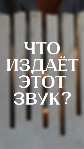 The art of small things on Instagram: "Что издает этот звук? tg — theartofsmallthings #soundstones #pinucciosciola"