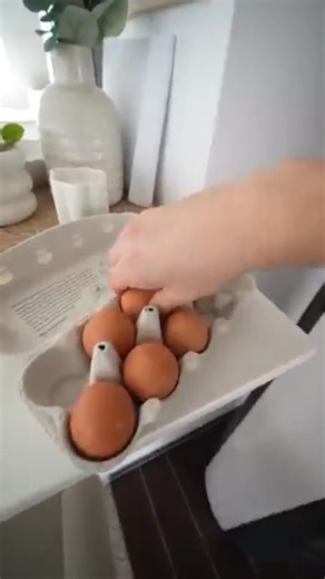 Fake Eier Prank an Freundin 🤯🍳 | Echtso | Max Echtso