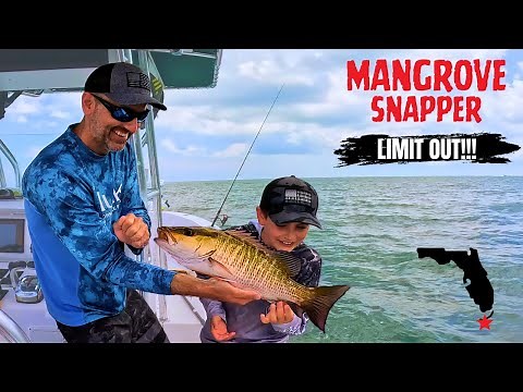 Crazy Mangrove Snapper Fishing In The Florida Keys, DO THIS to Limit Out!