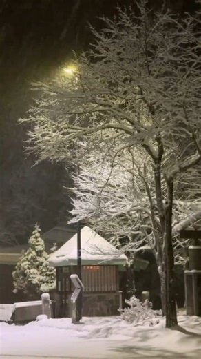 又下雪了，位於札幌市郊的定山溪 🌨️ #日本冬季 #日本街景 #日本景點推薦 #北海道 | 帶你看日本 Let's Go Japan