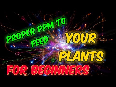 SIZE MATTERS: Using The Correct PPM for YOUR Plants