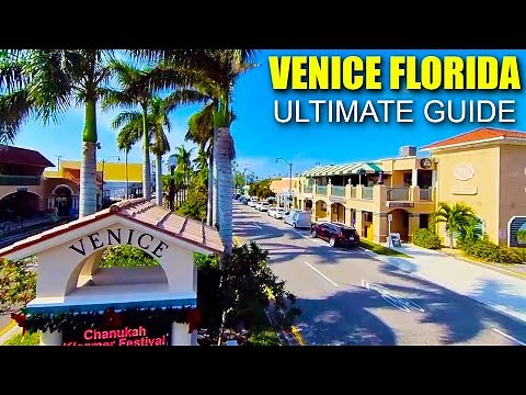 BEST Things To Do In Venice Florida!