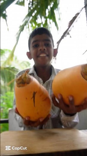 The Best King Coconut Shake Recipe: A Tropical Delight