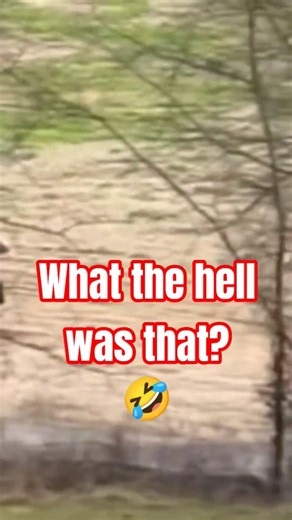 car crap compilation #mechanic #car #fails #automotive #funny #cars #trucks #shorts #auto #comp