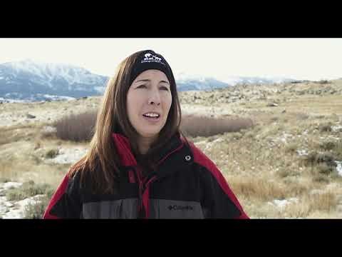 Resilience: Story Of The American Red Wolf