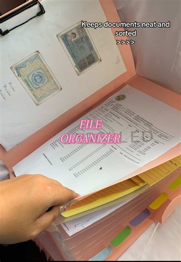 Efficient File Organizer for Neat Document Storage