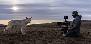 The animal sounds in most nature documentaries are made by humans – here's how they do it and why it matters