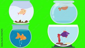 Cartoon Fish Bowls with Dead Fish on a Green Screen
