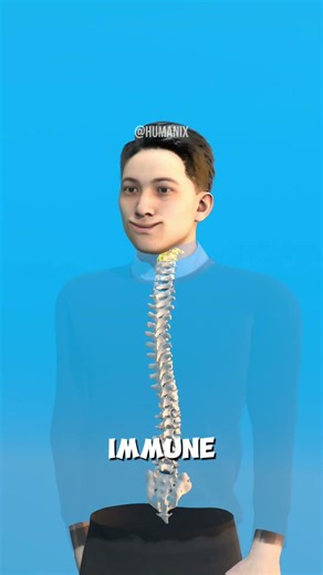 Brain Swap? Here’s What Happens - 3D Animation