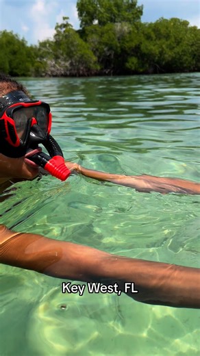 It’s like a moped, in the water. Kind of… try out one of the most fun things you could do in Key West. Take the underwater scooter for a ride #keywest #thingstodoinkeywest #keywestfl #underwaterscooter #floridakeys | Life On the Rocks Charters